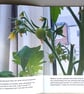 Tomatoes Art Zine - Image 3