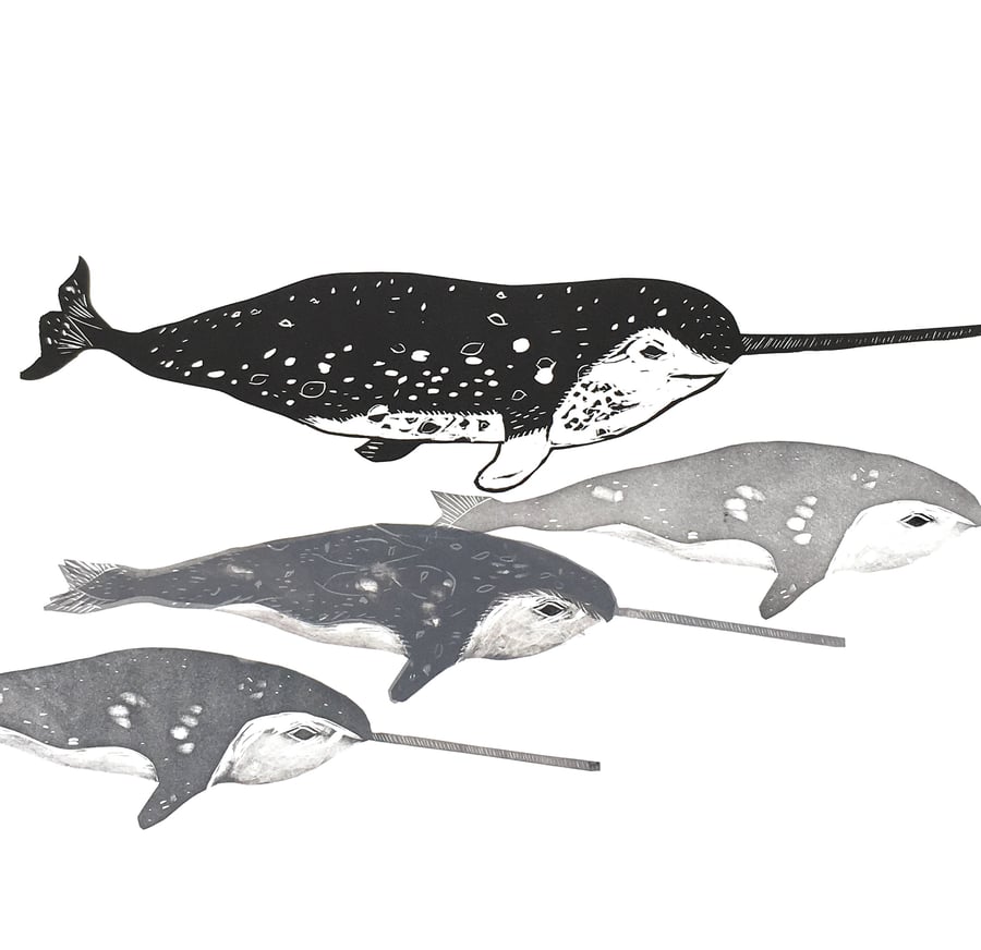 Pod of Narwhals