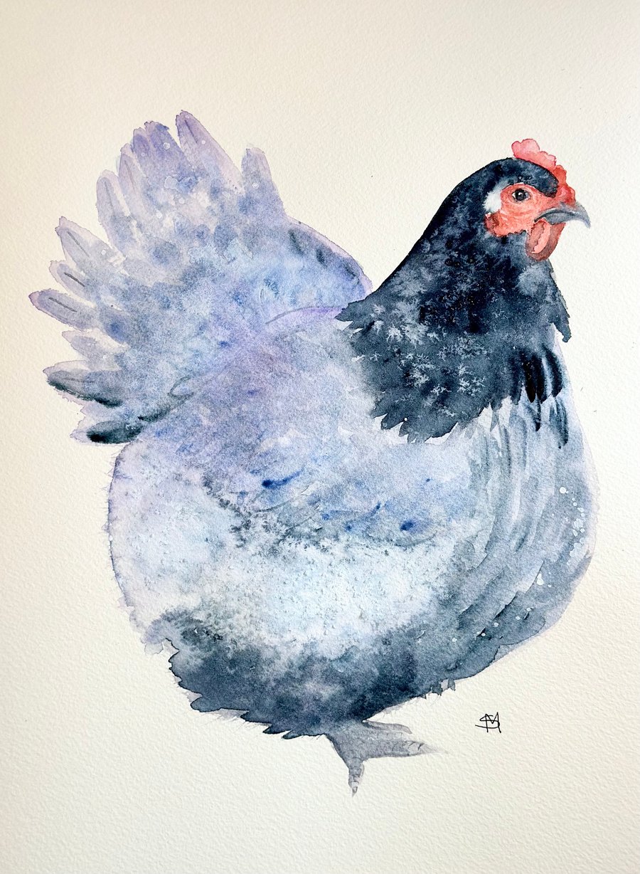Mrs Hen watercolour painting 