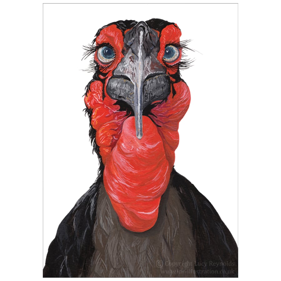Hornbill Art Card