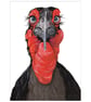 Hornbill Art Card - Image 1