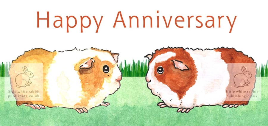 Guinea Pigs - Anniversary Card