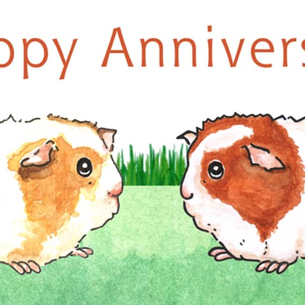 Guinea Pigs - Anniversary Card