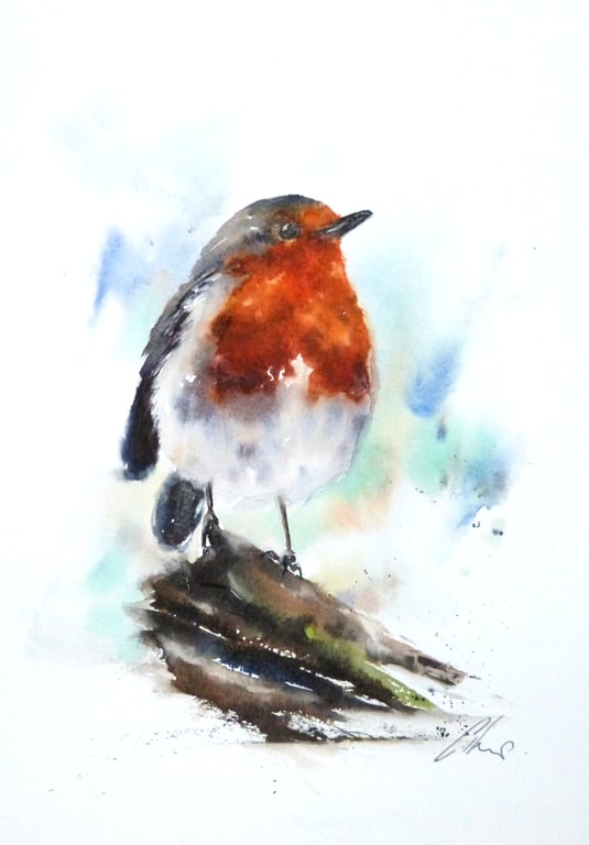 A Winters Robin, Professional Giclée Print.