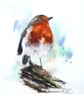 A Winters Robin, Professional Giclée Print. - Image 1