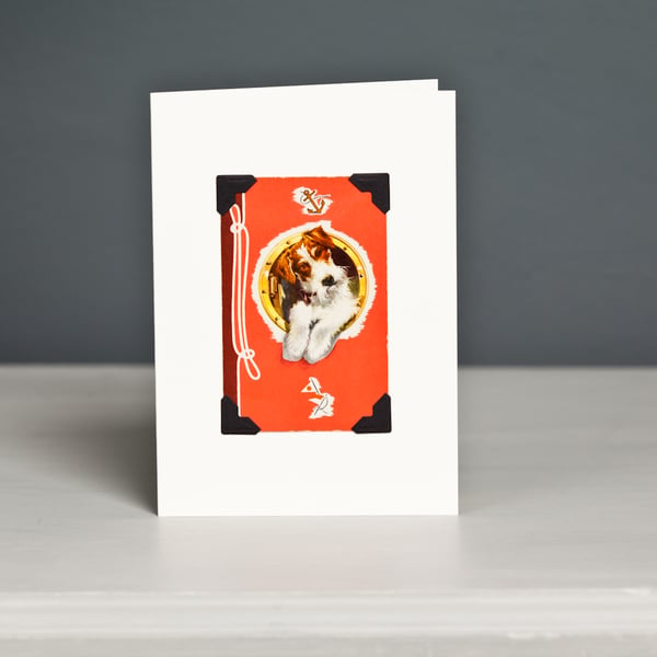 Fox Terrier Greeting Card