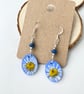 Real Pressed Daisy Blue Sliver Plated Dangle Wood and Bead Earrings - Image 5