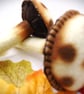 Set of two Handmade Felt, Autumn Mushrooms Toadstools - Image 2
