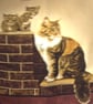 Lovely fluffy brown and white cat and kittens on a garden wall cushion - Image 3