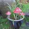 Fairytale Toadstools garden ornaments.