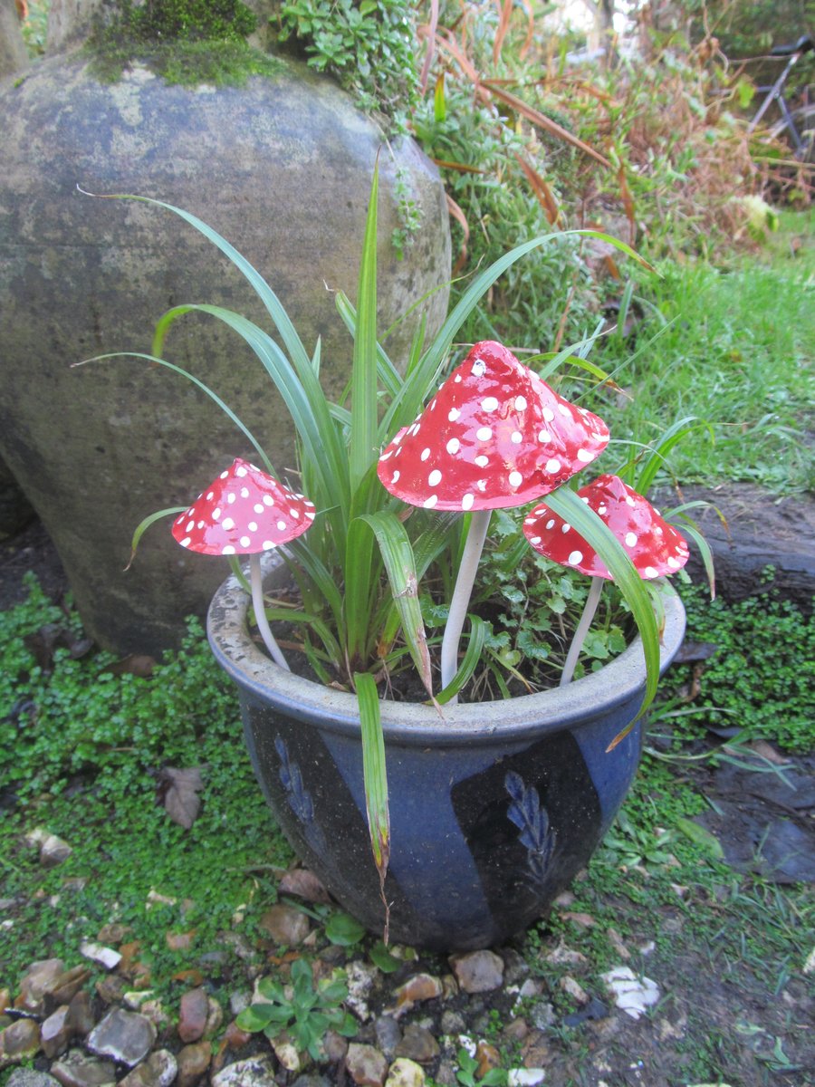 Fairytale Toadstools garden ornaments.