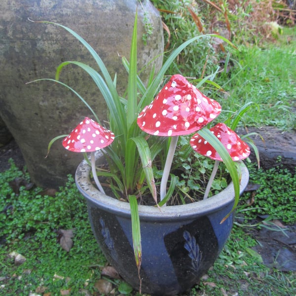 Fairytale Toadstools garden ornaments.