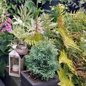 Fern and Foxglove Studio Arts and Crafts