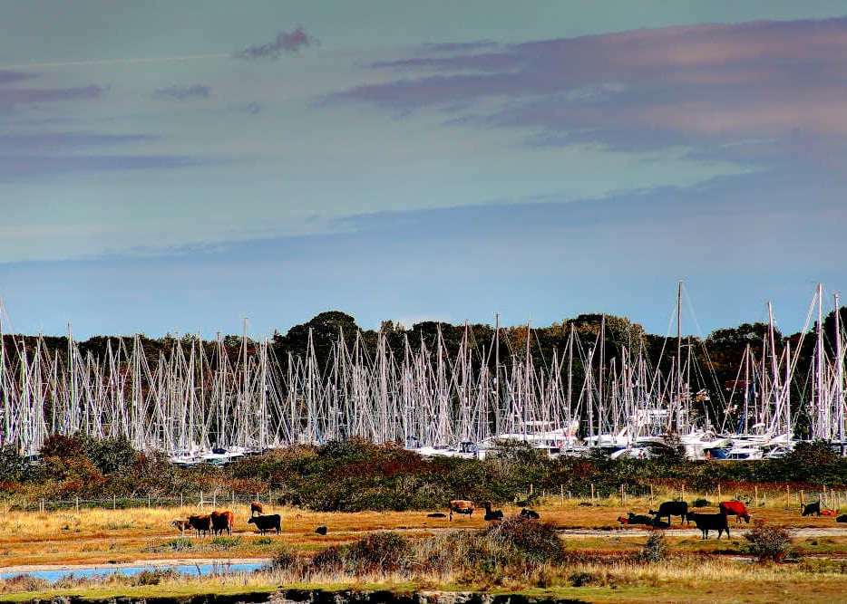 Picture Lymington, New Forest Photo Print