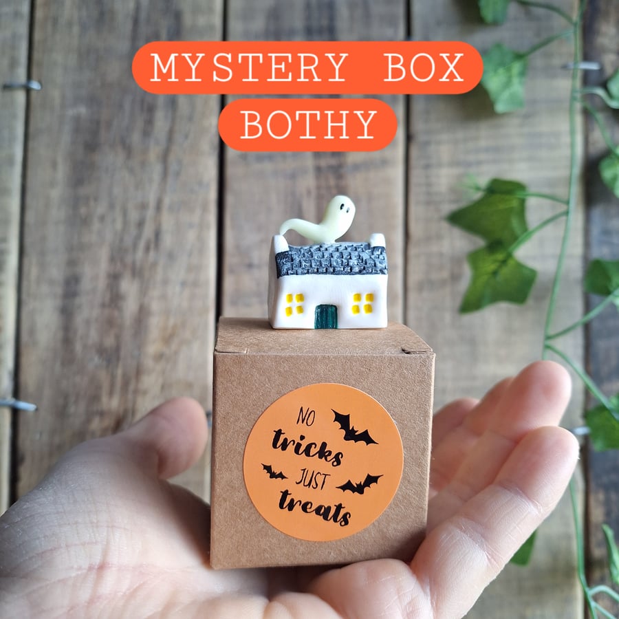 Mystery Bothy Box - Lucky Dip!