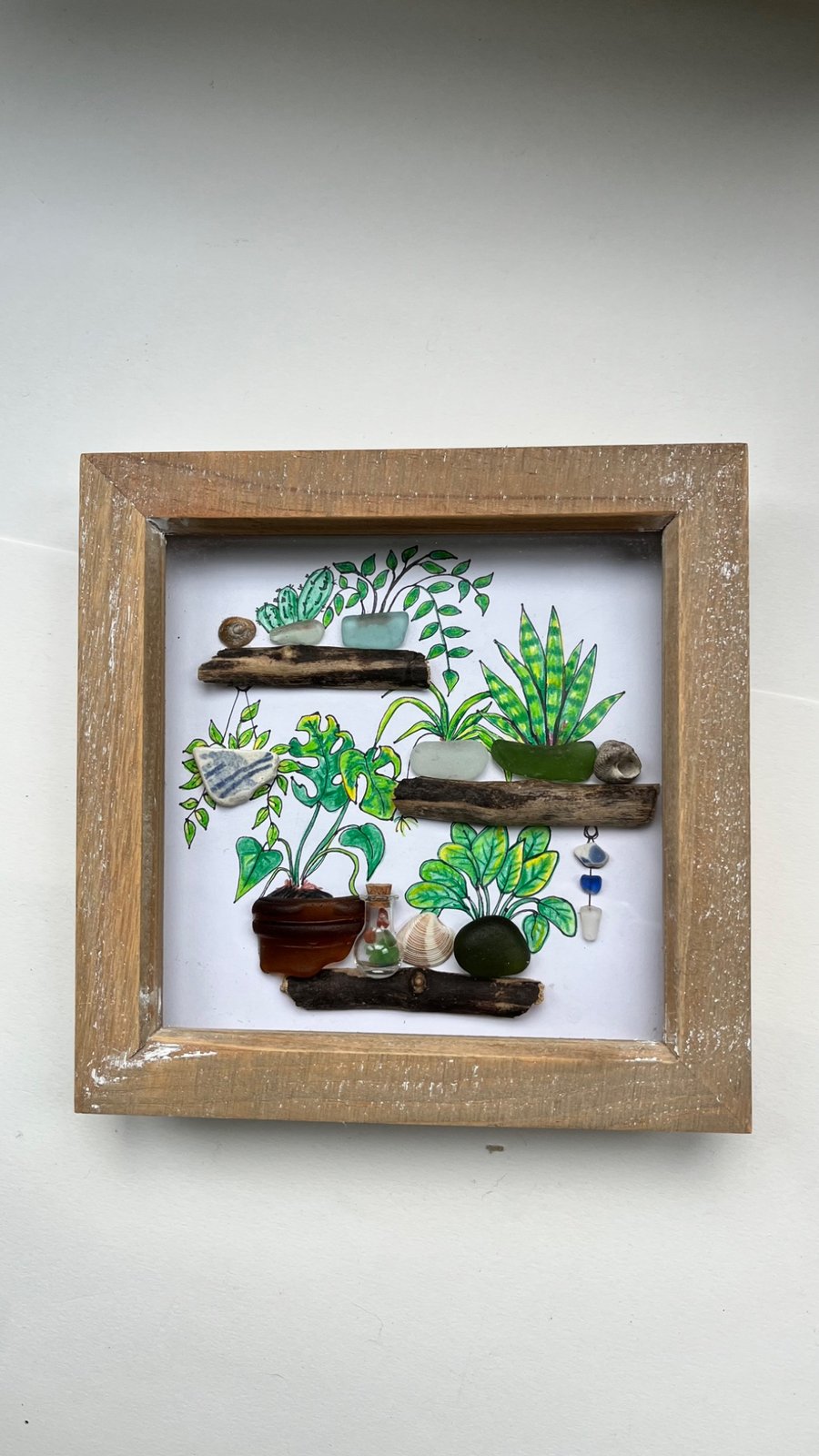 Seaglass garden, plants on shelves picture  