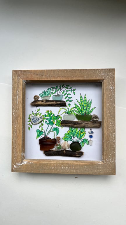  Seaglass garden, plants on shelves picture  