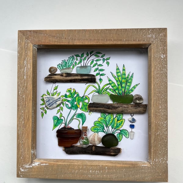  Seaglass garden, plants on shelves picture  