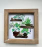 Seaglass garden, plants on shelves picture  