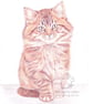 Moppet -  Blank Card - Image 1
