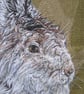 Mountain Hare Artwork - Image 2