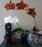 Copper orchid - Image 4