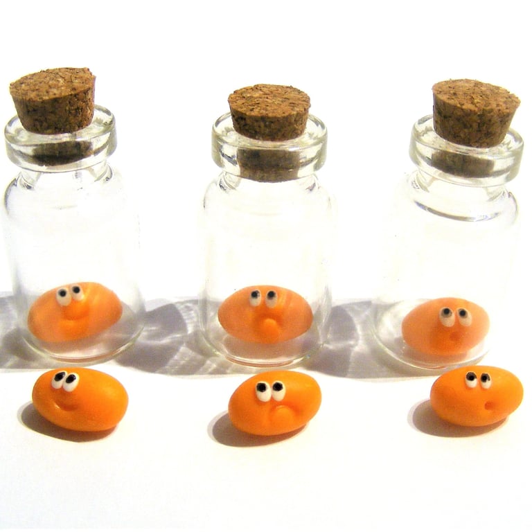 Pet Baked Bean, Best friend gift, Birthday gift, Gift for him, Gift for her