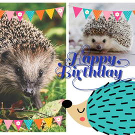 Happy Birthday Hedgehog Greeting Card A5