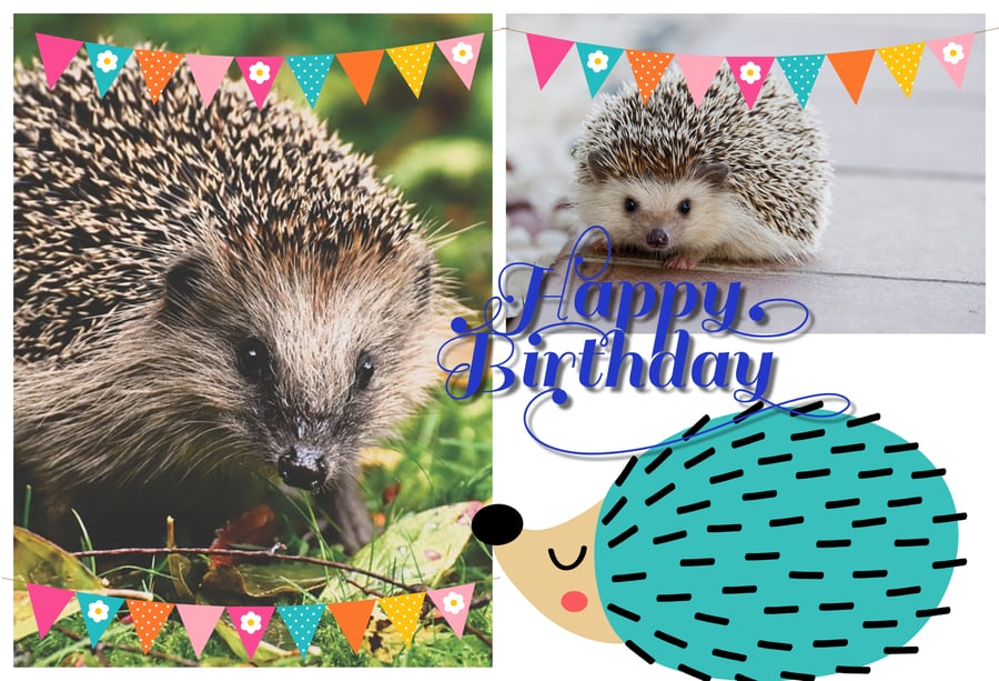 Happy Birthday Hedgehog Greeting Card A5