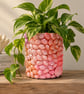 Large Pink & Coral Seashell Planter with Inbuilt Drainage – Coastal Décor