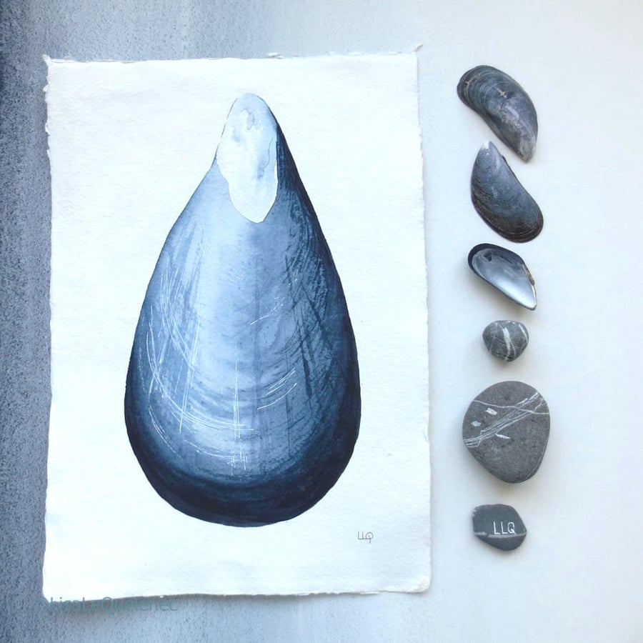 Sale Mussel shell original sea shell painting in watercolour shell collection 