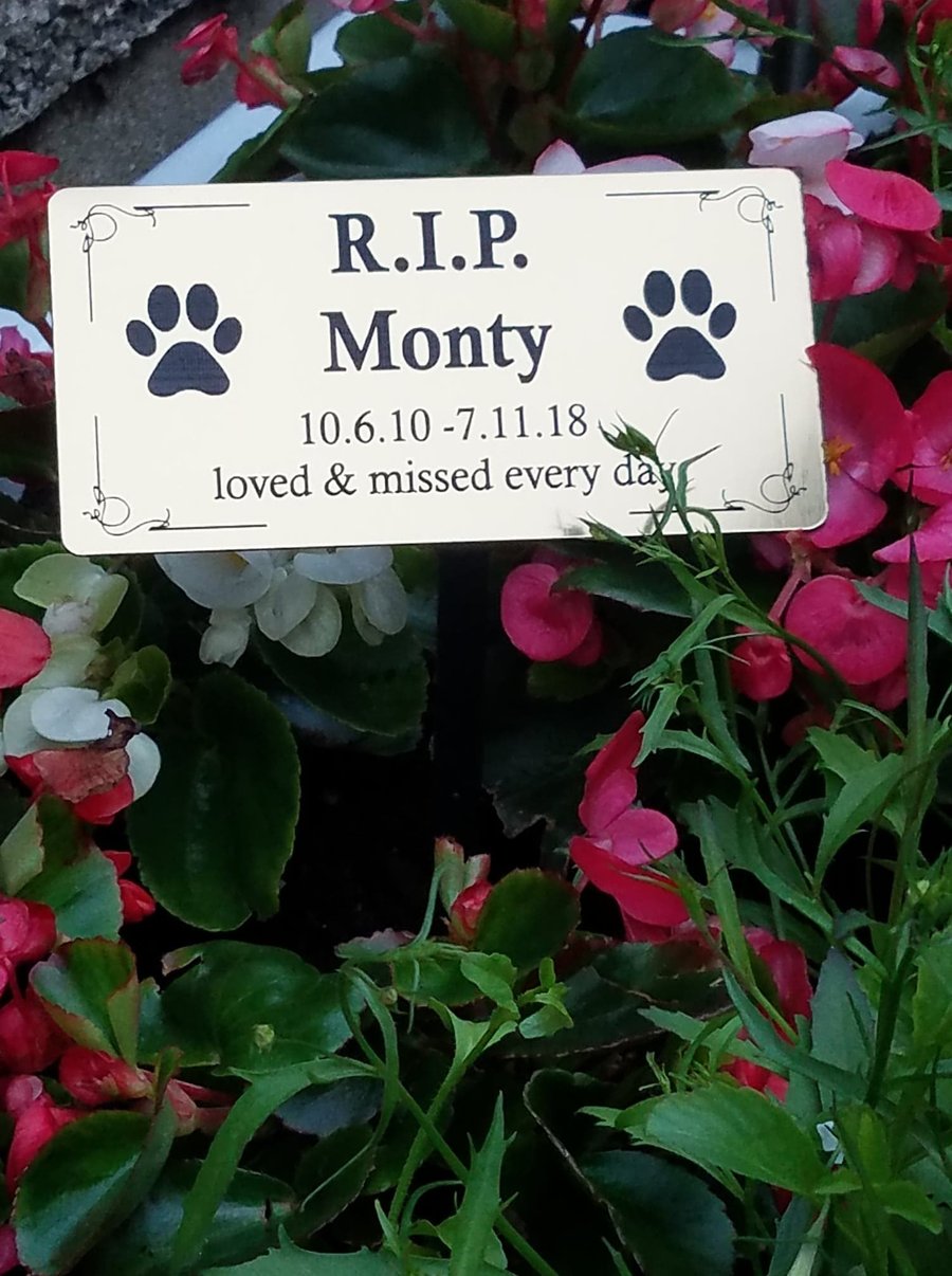  Pet Memorial Plaque Pet Grave Plaque Pet Headstone pet cemetery plaque