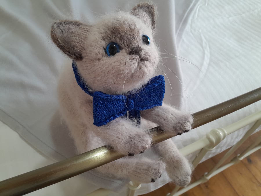 Seal Point Birman Kitten, dotpebblesknits knitted design  