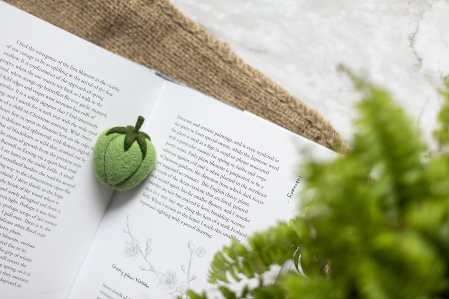 Seconds Sunday- Merino Wool Needle Felted Bell Pepper Brooch (Green)