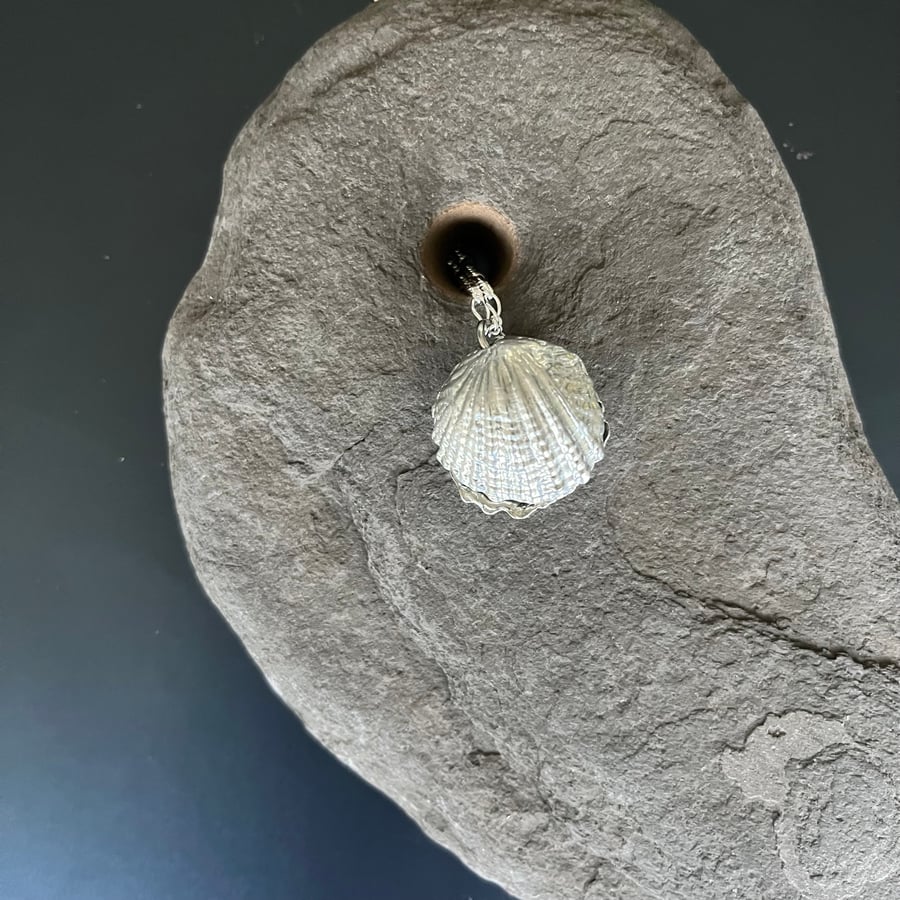 Scallop Shell Necklace with Hidden Pearl