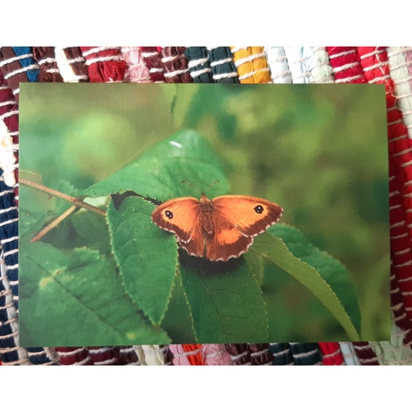Gatekeeper Butterfly, A6 Greetings Card Nature Photography
