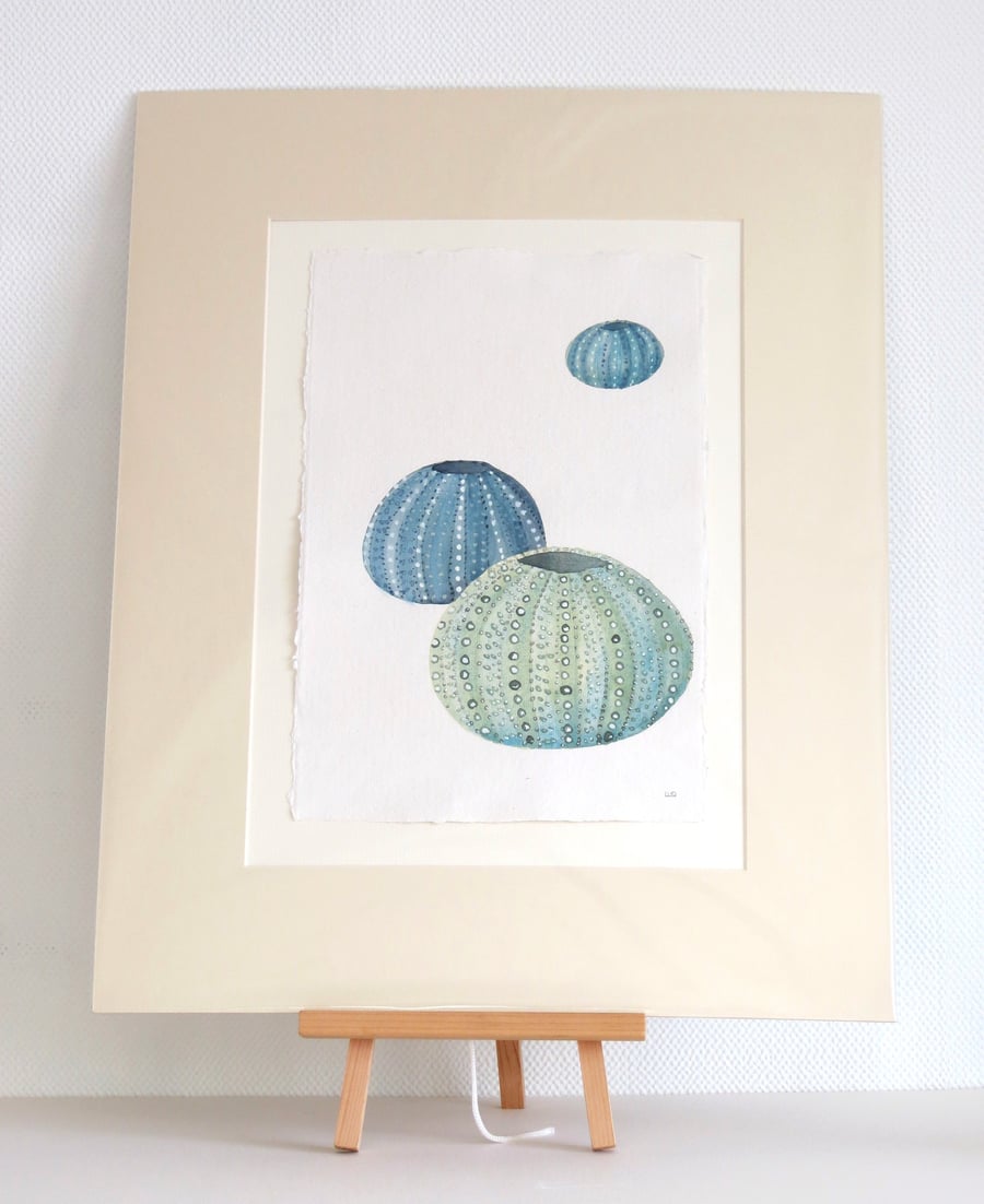 Seconds Sunday sale original watercolour sea urchins painting ready to frame