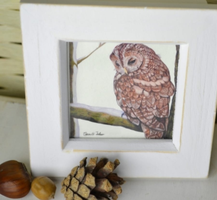 Minature Tawny owl watercolour print in a rustic white frame, owl lovers gifts