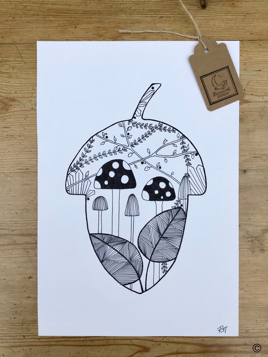 Acorn Woodland Drawing