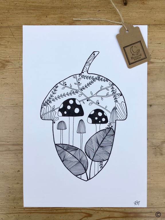 Acorn Woodland Drawing