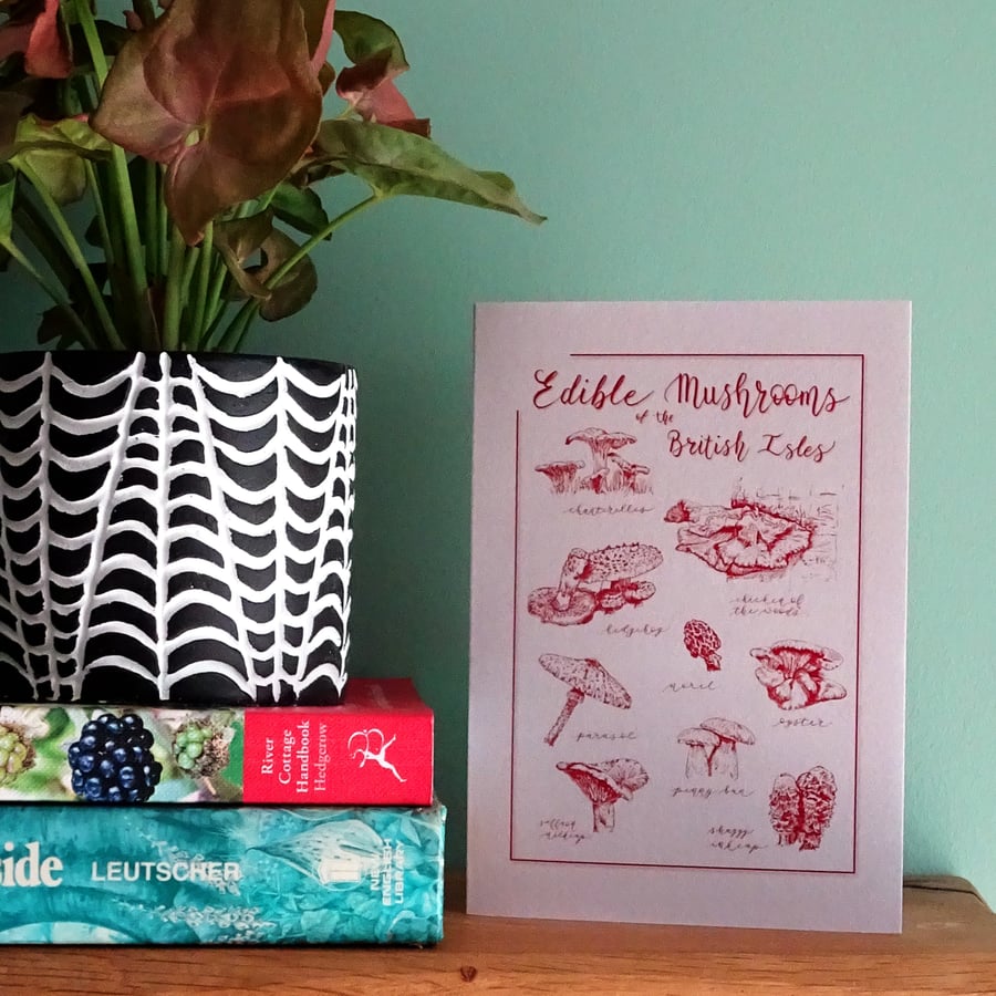 Eco Note Card (A6 size) Illustrated Edible Mushrooms - Blank Inside