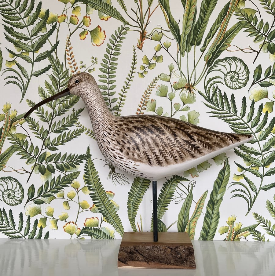 Curlew