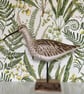 Curlew - Image 1