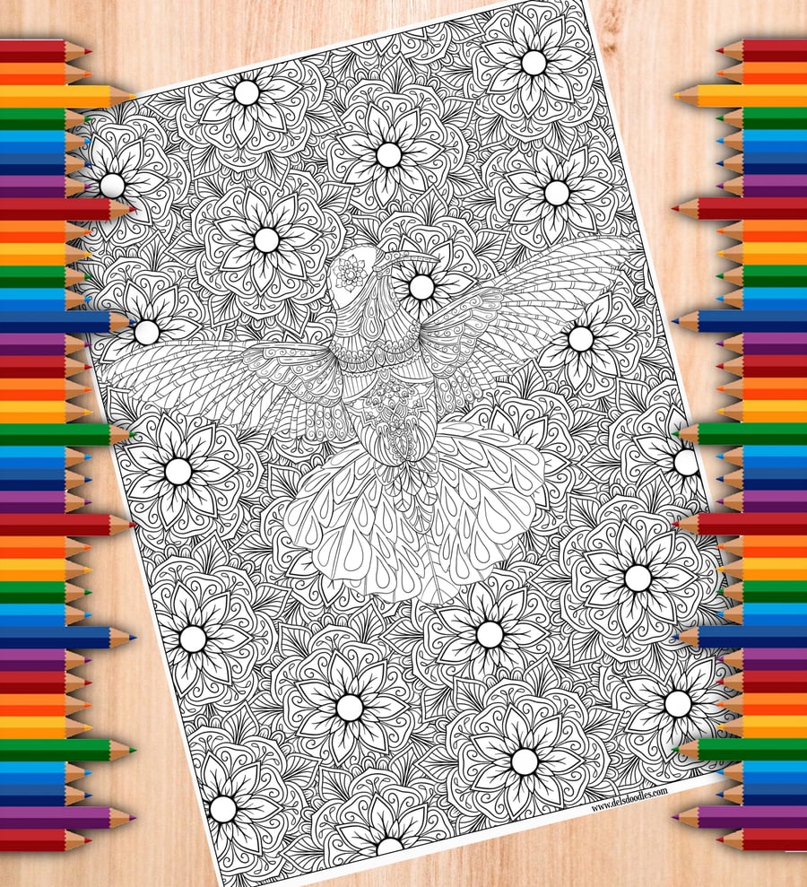 Digital Colouring Page - Hummingbird