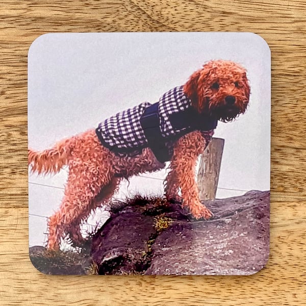 Custom photo gift - personalised coaster - pet owner gift - keepsake.