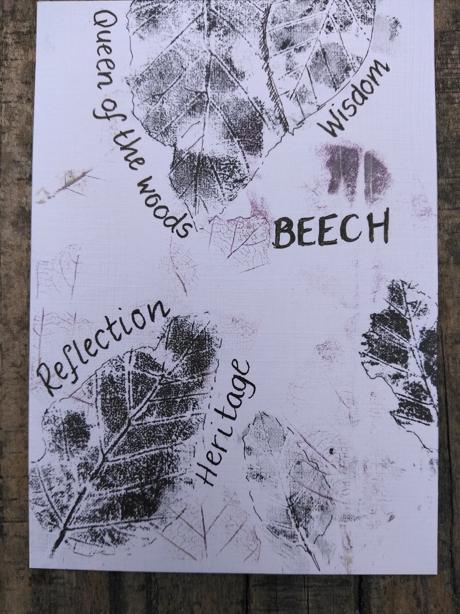 Beech leaf A6 original