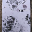 Beech leaf A6 original