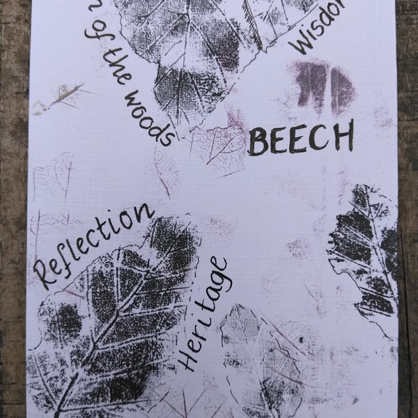 Beech leaf A6 original