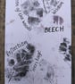 Beech leaf A6 original