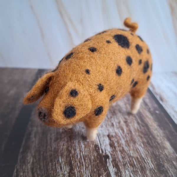 Gloucestershire Old Spot Pig